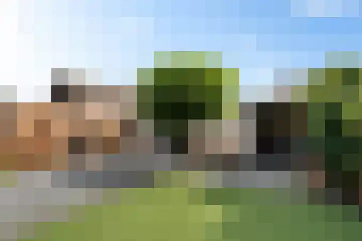 Nijkampenweg 176 Emmen thumbnail 47