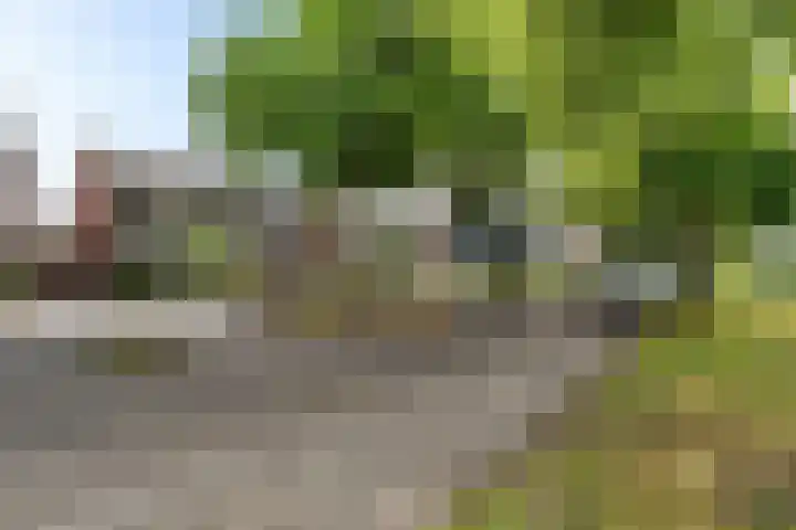 Nijkampenweg 176 Emmen thumbnail 50