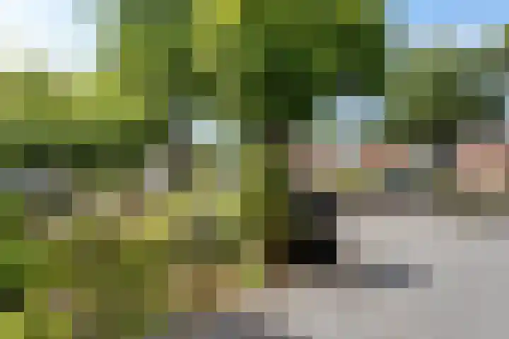 Nijkampenweg 176 Emmen thumbnail 51