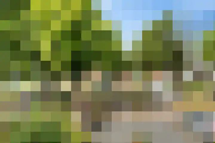 Nijkampenweg 176 Emmen thumbnail 52
