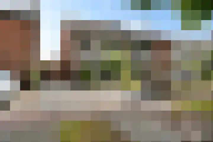Nijkampenweg 176 Emmen thumbnail 53