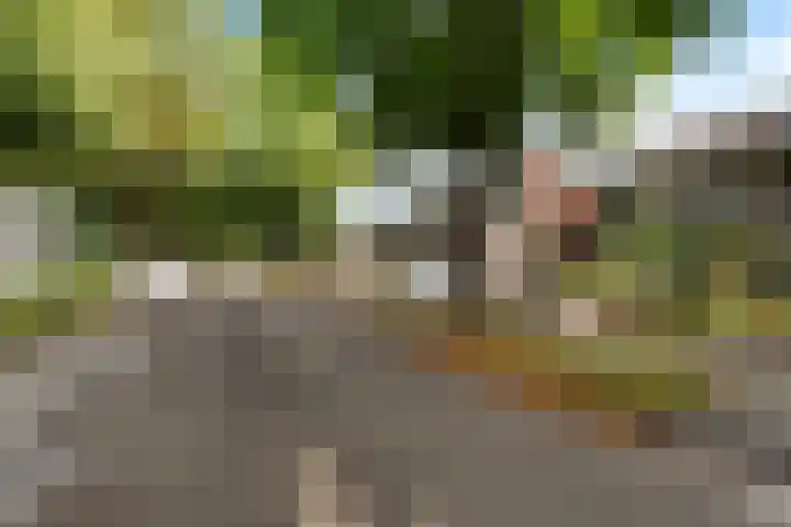 Nijkampenweg 176 Emmen thumbnail 55