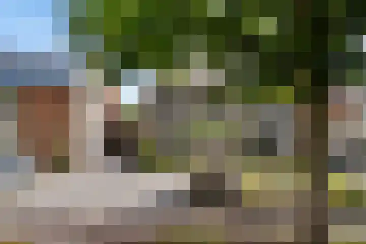Nijkampenweg 176 Emmen thumbnail 56
