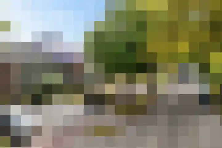 Nijkampenweg 176 Emmen thumbnail 57