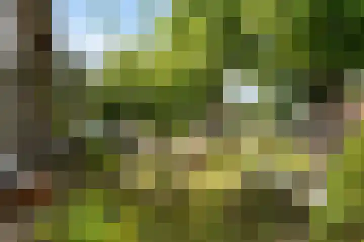 Nijkampenweg 176 Emmen thumbnail 6