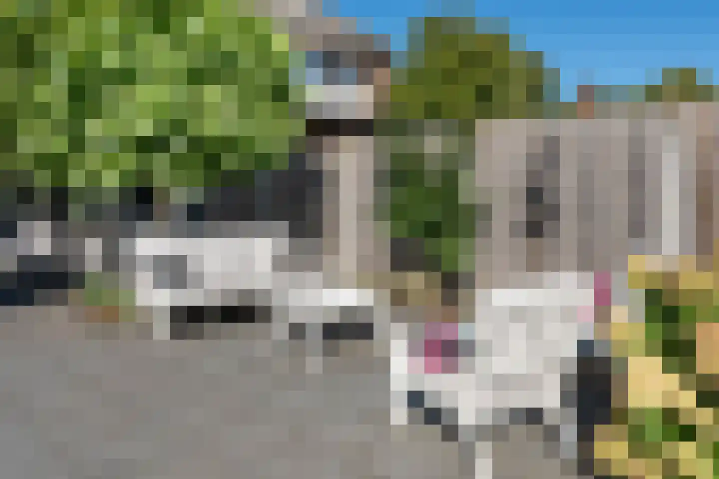 Nijkampenweg 178 Emmen thumbnail 25