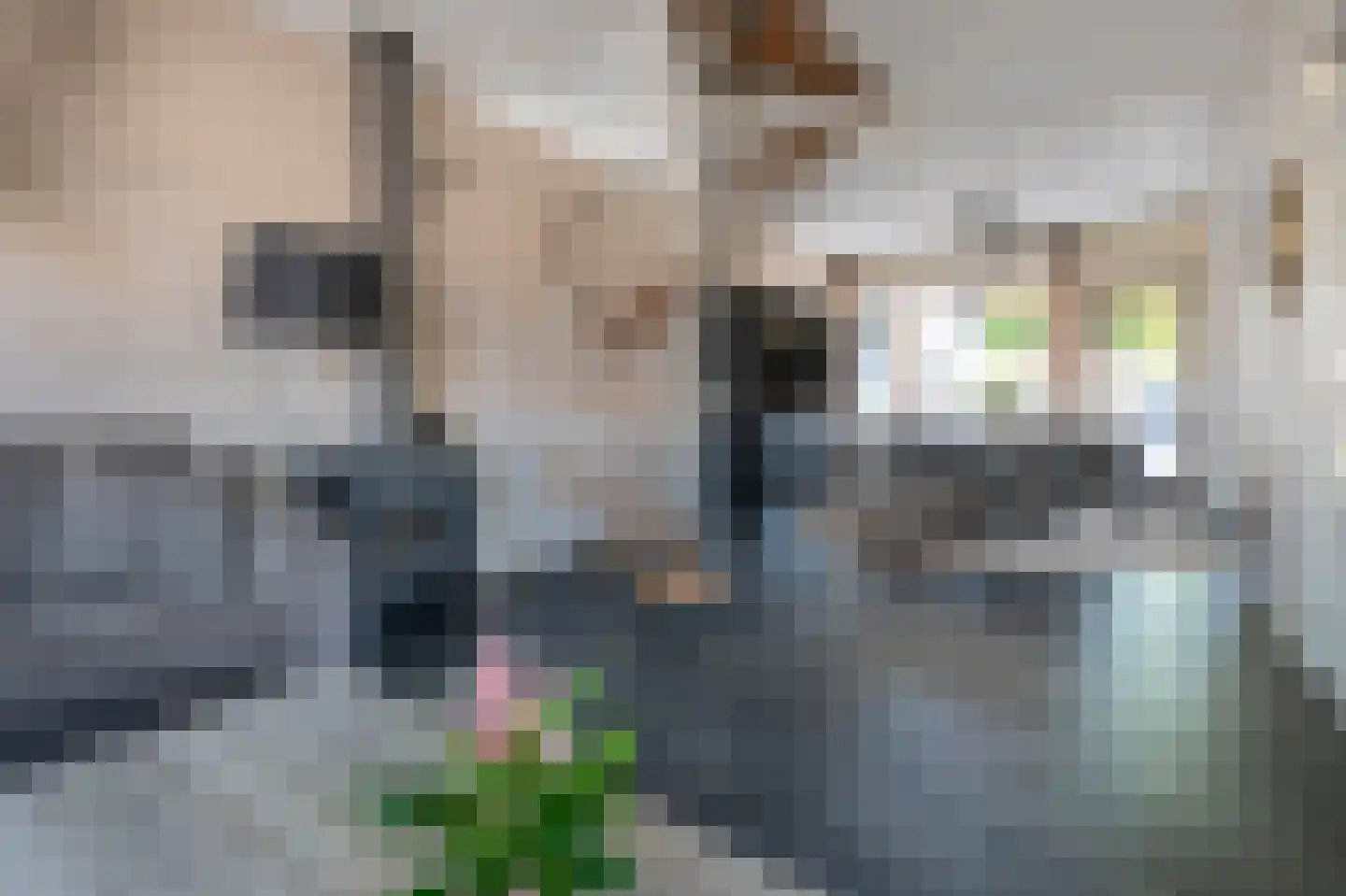 Nijkampenweg 178 Emmen thumbnail 7