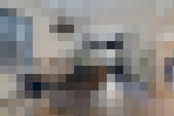 Nijkampenweg 27 Emmen thumbnail 11