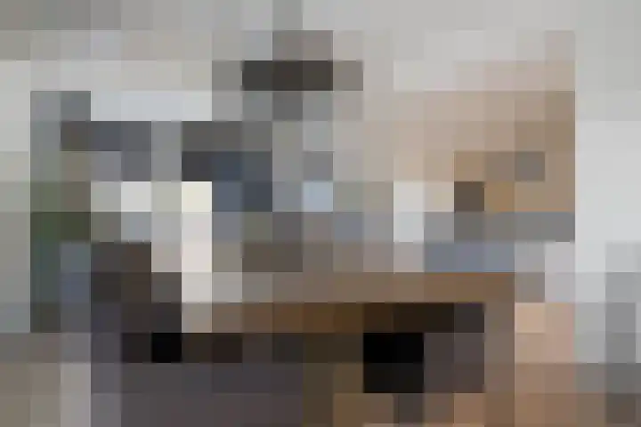 Nijkampenweg 27 Emmen thumbnail 12