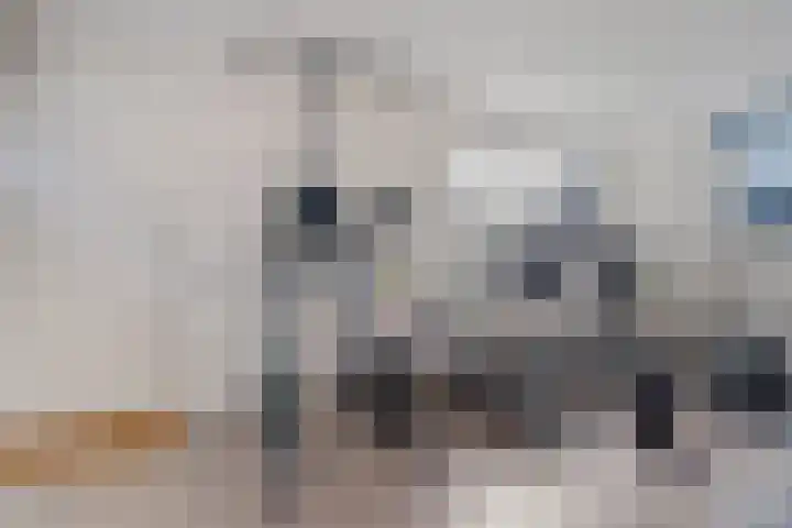 Nijkampenweg 27 Emmen thumbnail 25