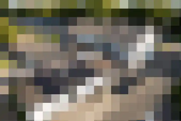Nijkampenweg 27 Emmen thumbnail 51