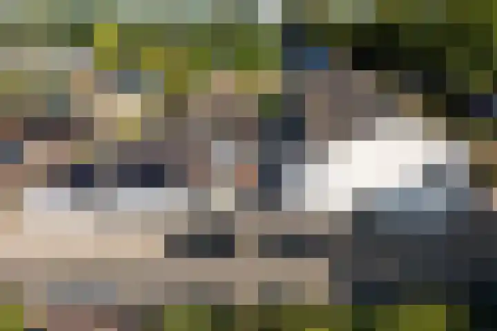 Nijkampenweg 27 Emmen thumbnail 52