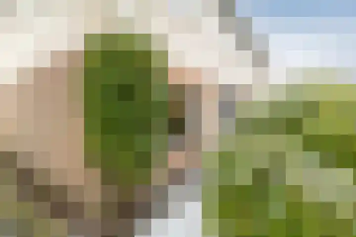 Nijkampenweg 459 Emmen thumbnail 31