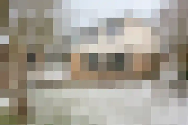 Nijkampenweg 459 Emmen thumbnail 4
