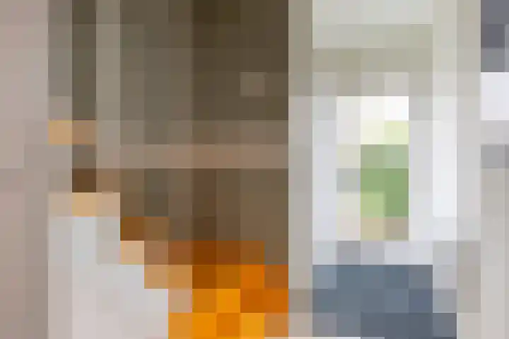 Nijkampenweg 459 Emmen thumbnail 7