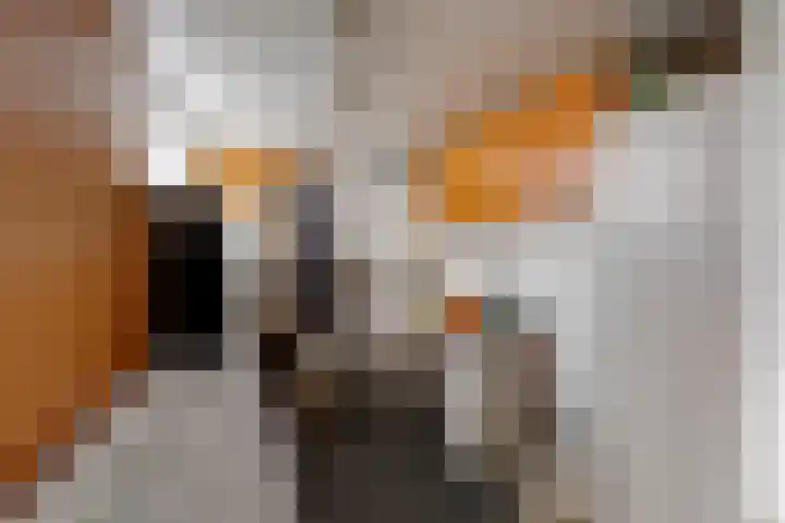 Nijkampenweg 469 Emmen thumbnail 10