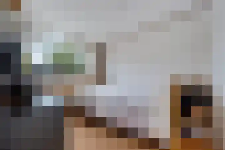 Nijkampenweg 469 Emmen thumbnail 14