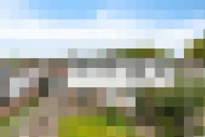 Nijkampenweg 469 Emmen thumbnail 20