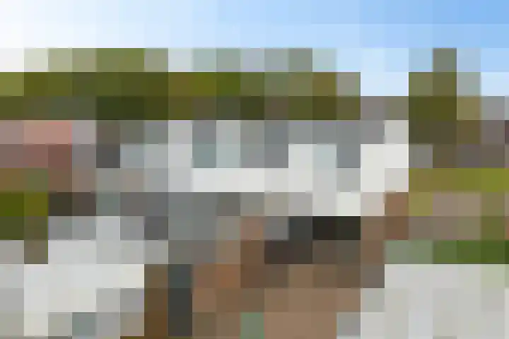 Nijkampenweg 469 Emmen thumbnail 22