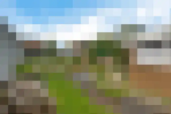 Nijkampenweg 469 Emmen thumbnail 29