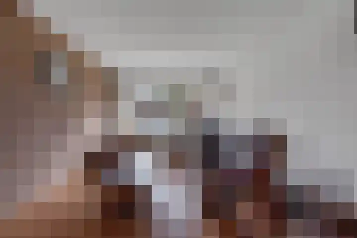 Nijkampenweg 469 Emmen thumbnail 4