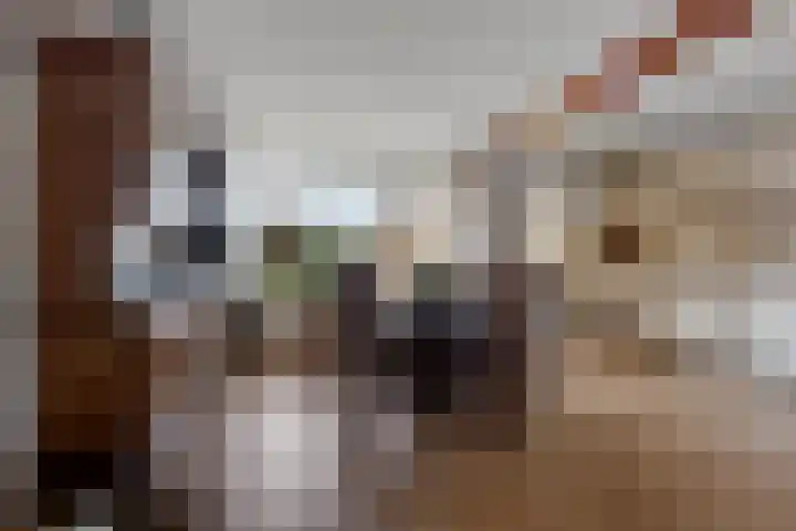 Nijkampenweg 469 Emmen thumbnail 5
