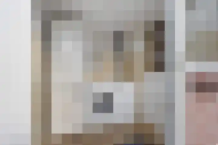 Nijkampenweg 469 Emmen thumbnail 9