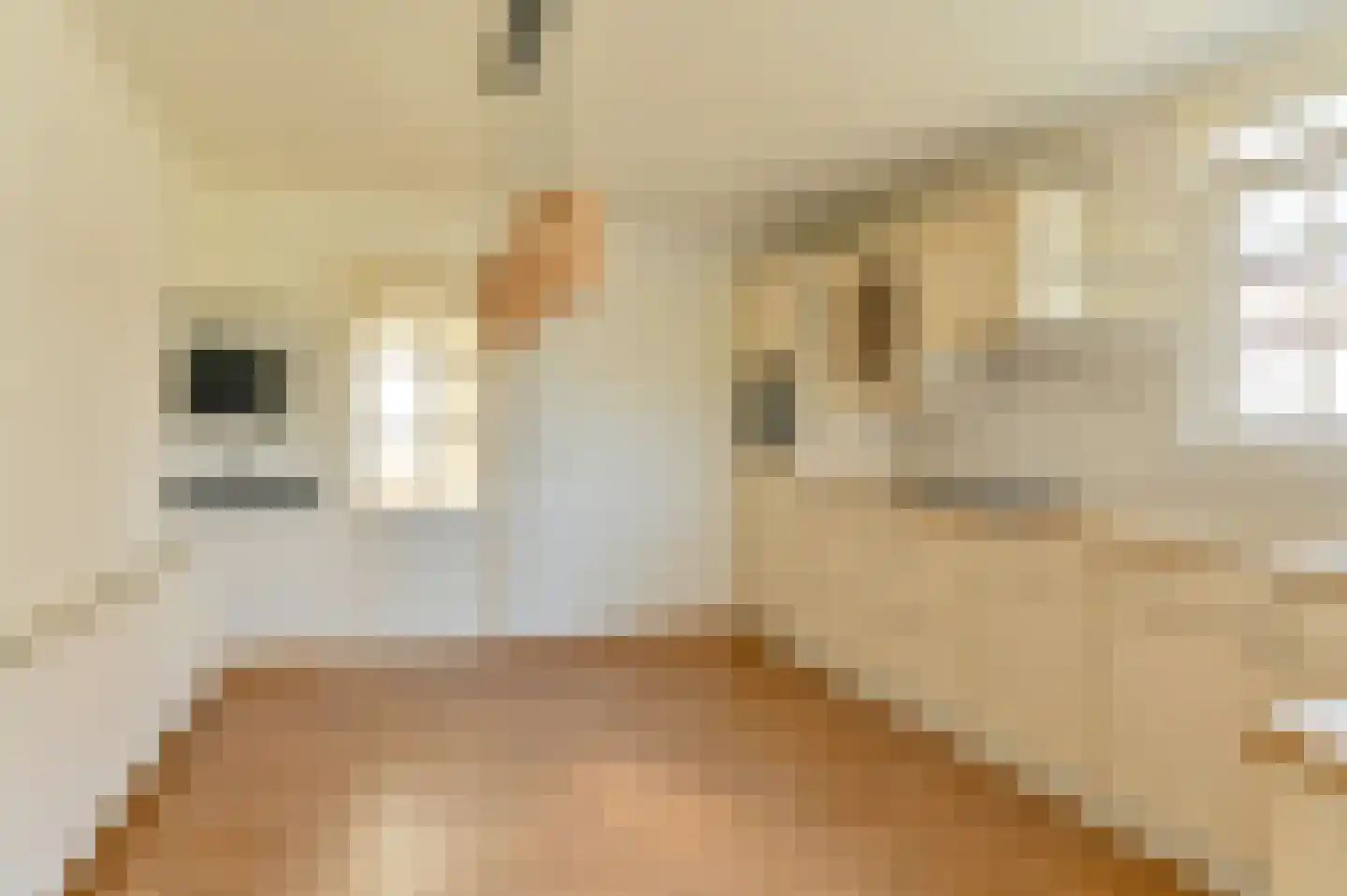 Nijkampenweg 5 Odoorn thumbnail 21