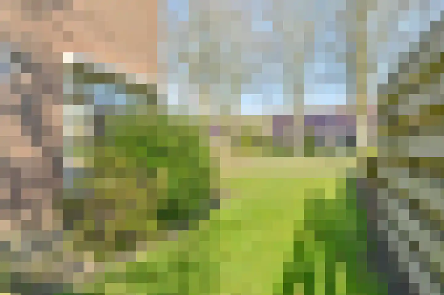 Nijkampenweg 5 Odoorn thumbnail 59