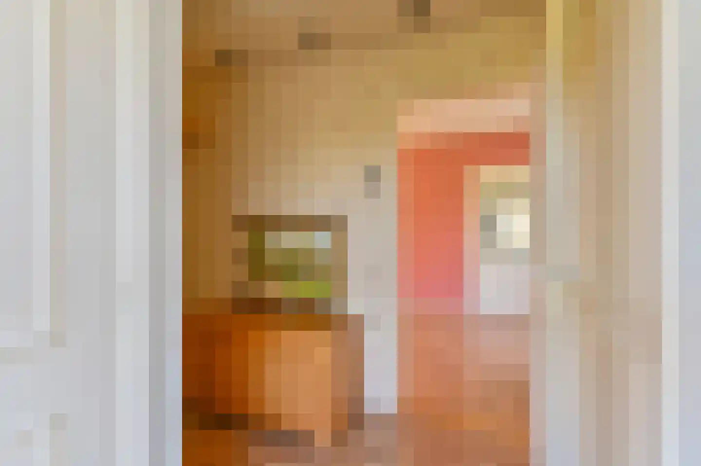 Nijkampenweg 5 Odoorn thumbnail 6