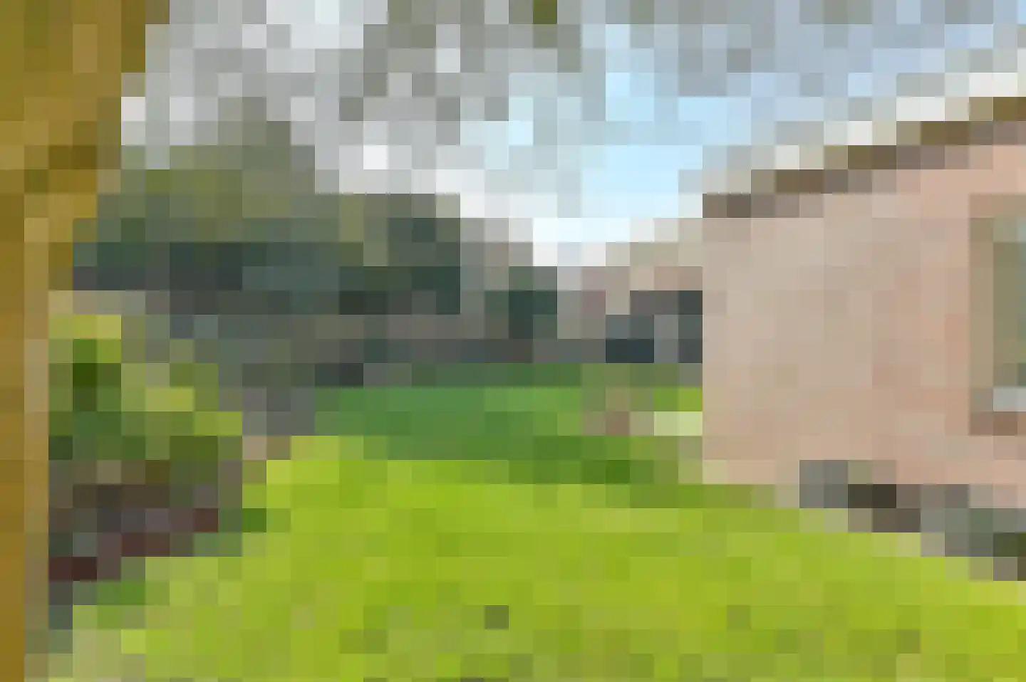 Nijkampenweg 5 Odoorn thumbnail 60