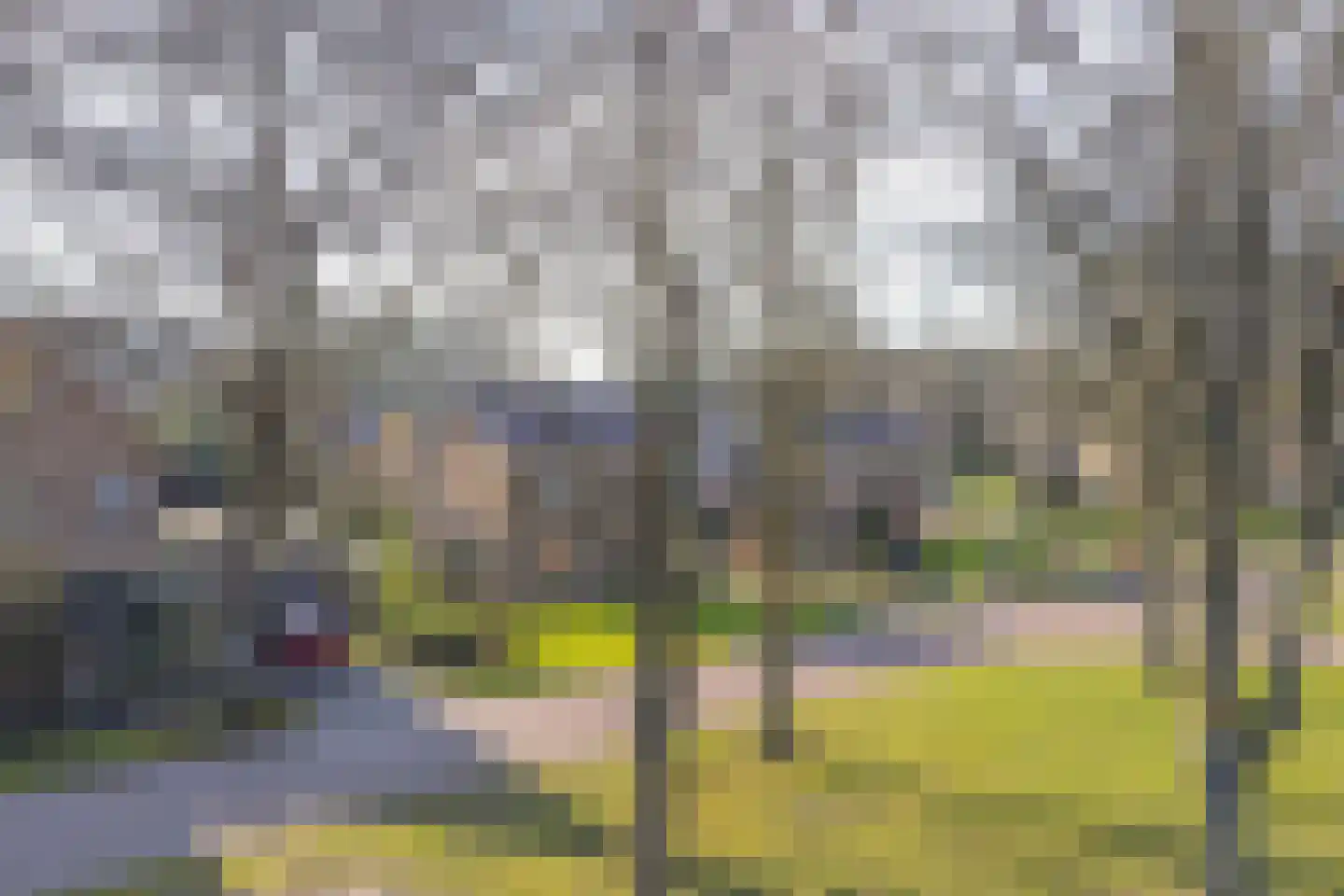 Nijkampenweg 5 Odoorn thumbnail 68