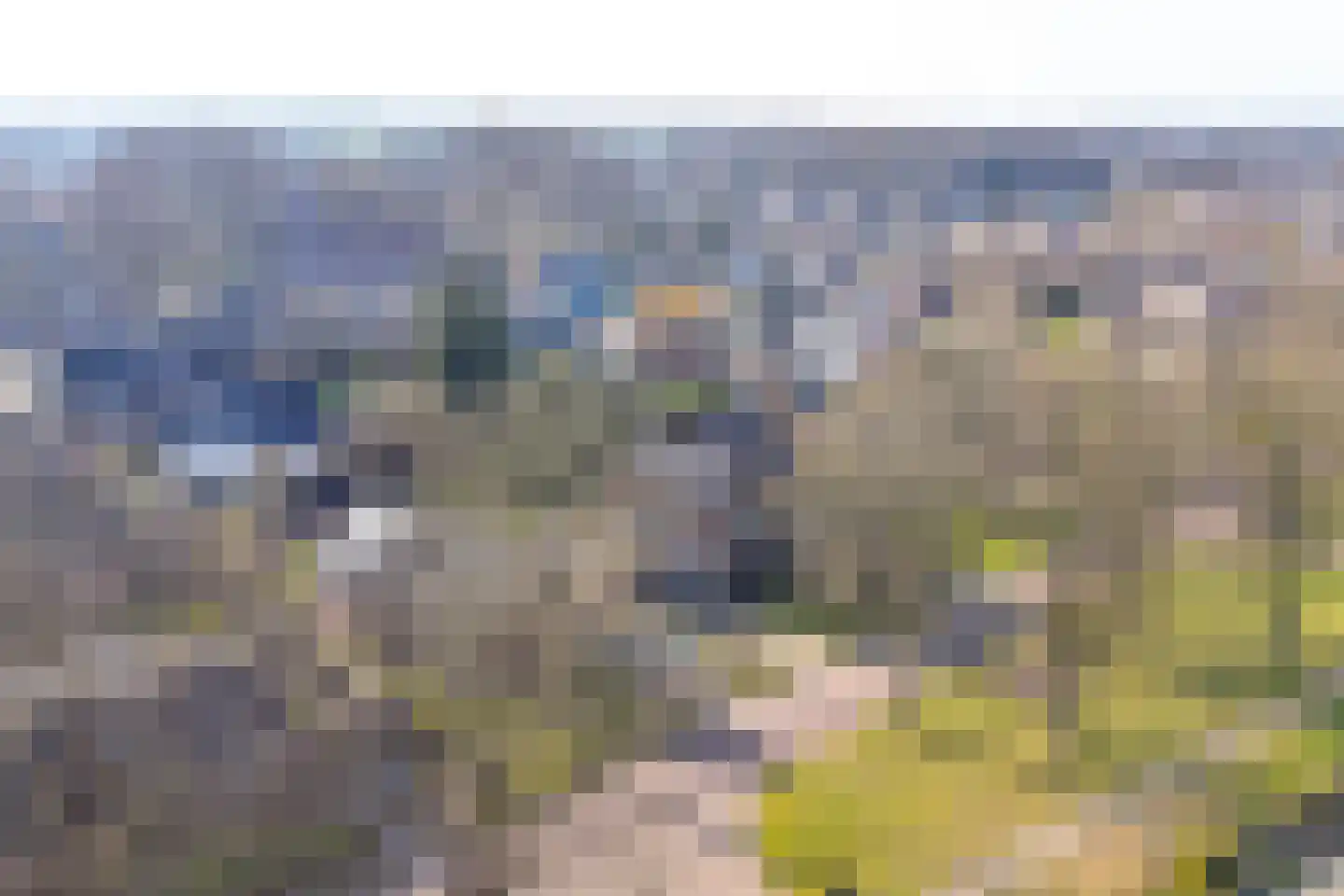 Nijkampenweg 5 Odoorn thumbnail 69