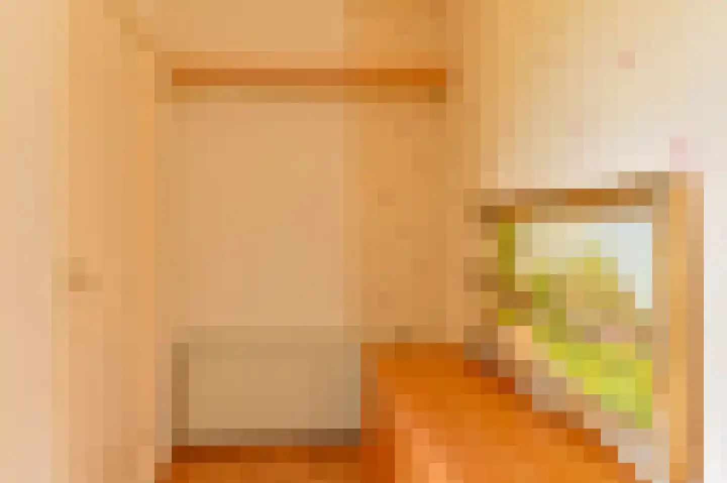 Nijkampenweg 5 Odoorn thumbnail 7