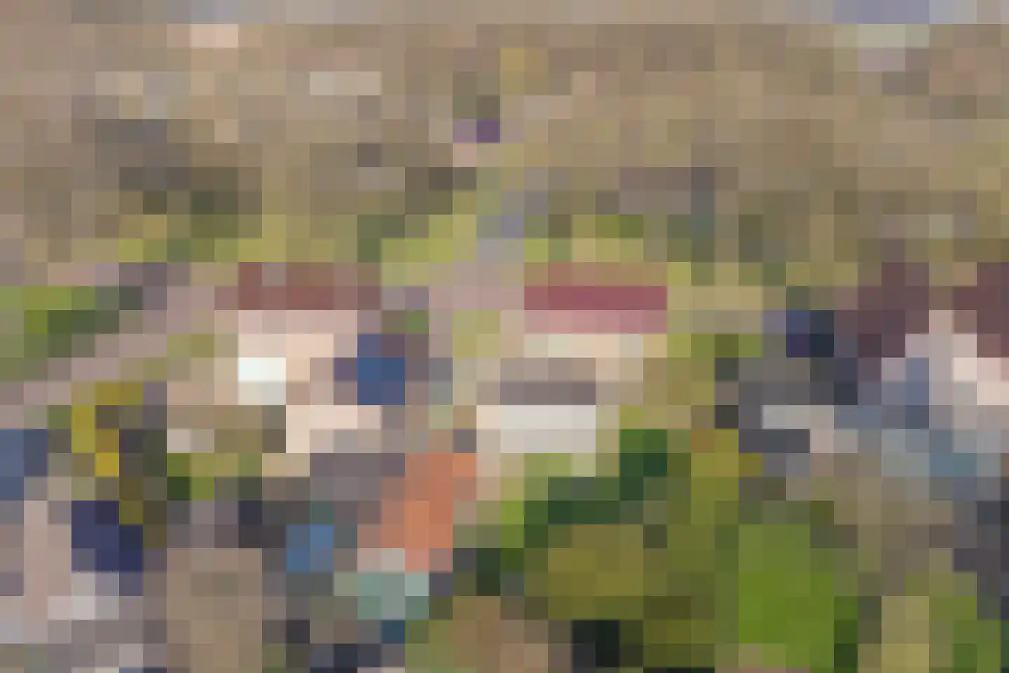 Nijkampenweg 5 Odoorn thumbnail 70