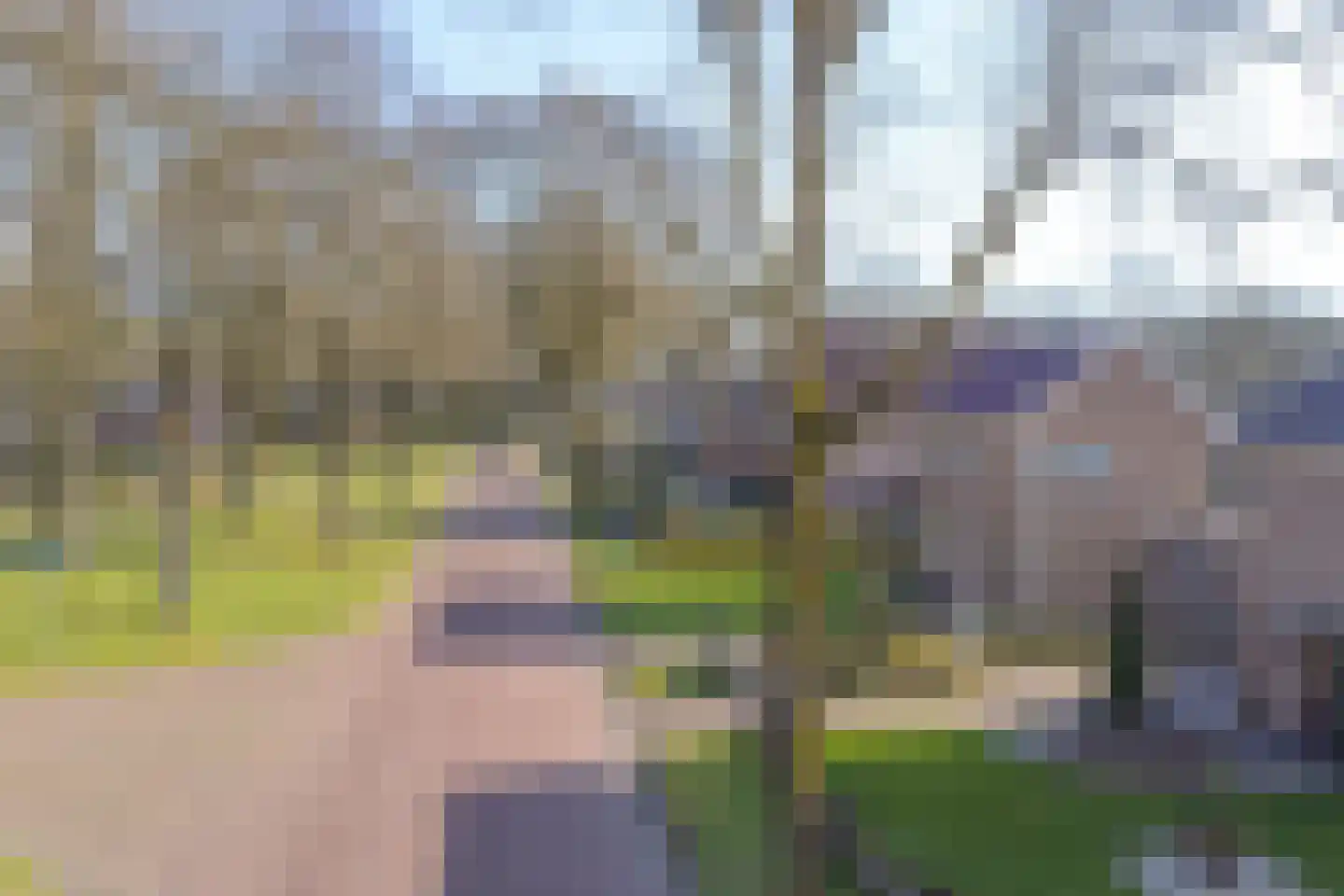 Nijkampenweg 5 Odoorn thumbnail 71