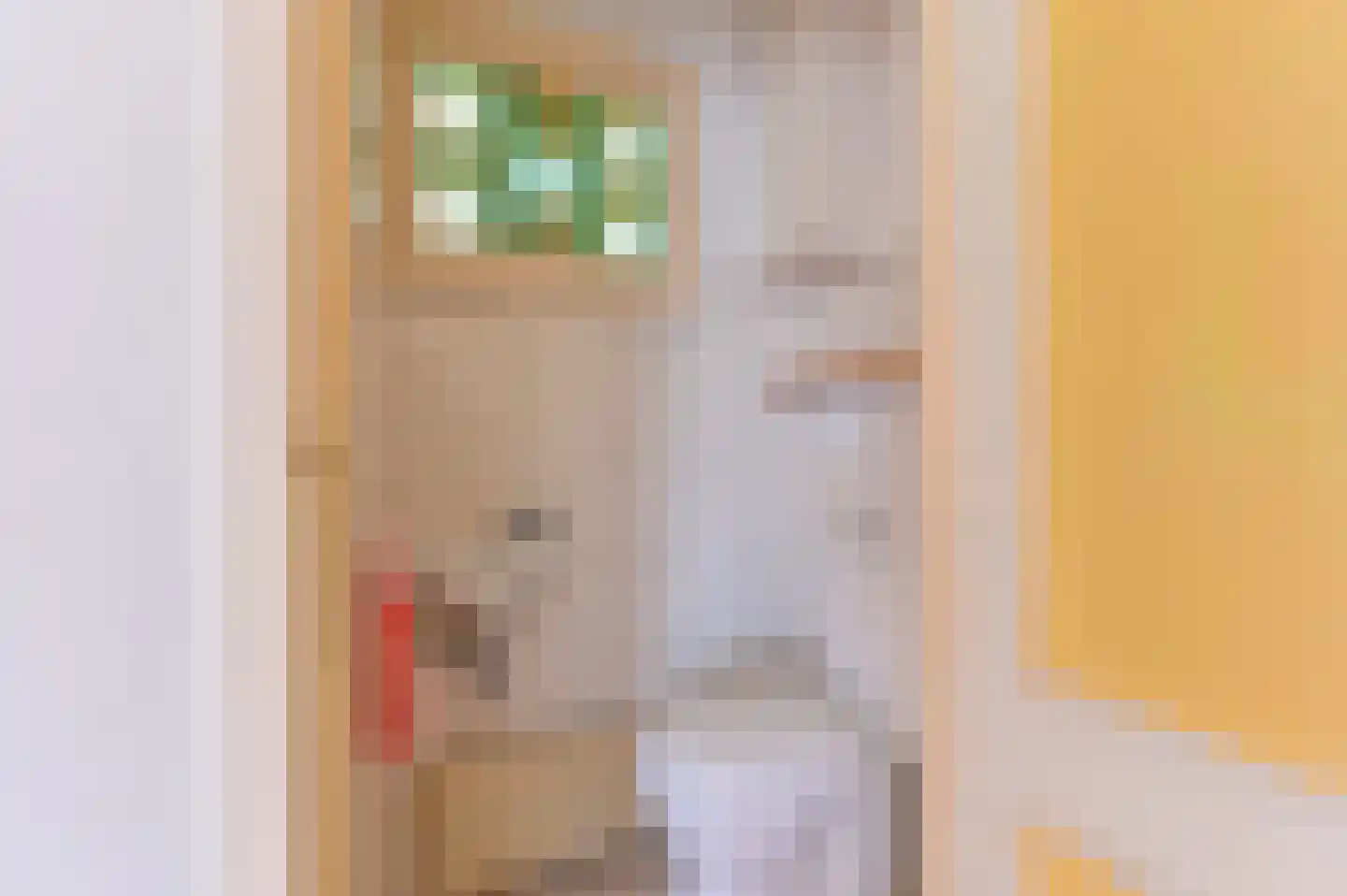 Nijkampenweg 5 Odoorn thumbnail 9