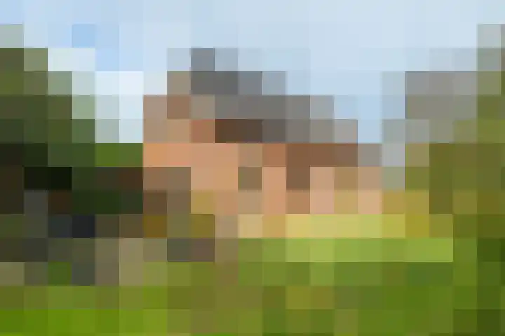 Nijkampsweg 4 Beltrum