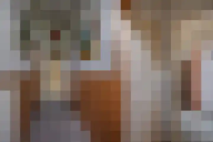 Nijkampsweg 4 Beltrum thumbnail 12