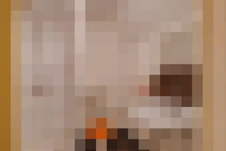 Nijkampsweg 4 Beltrum thumbnail 19