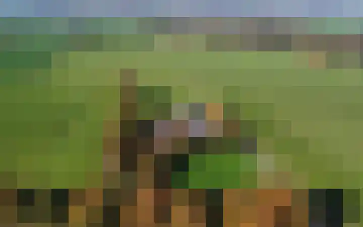Nijkampsweg 4 Beltrum foto 2