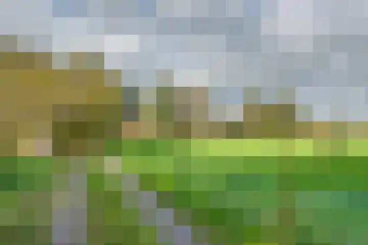 Nijkampsweg 4 Beltrum thumbnail 24