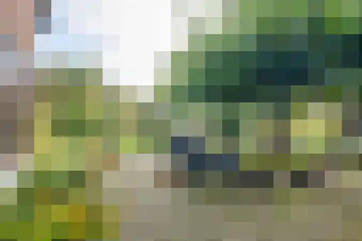 Nijkampsweg 4 Beltrum thumbnail 26