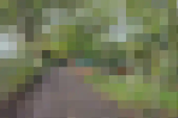 Nijkampsweg 4 Beltrum thumbnail 28