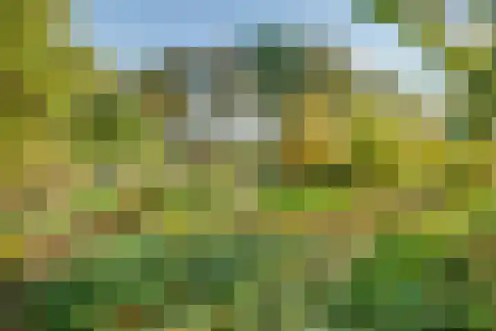 Nijkampsweg 4 Beltrum thumbnail 29