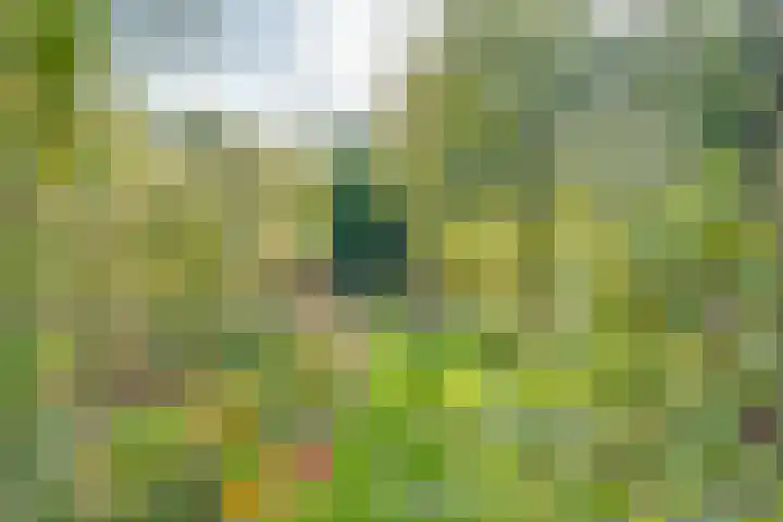 Nijkampsweg 4 Beltrum foto 3