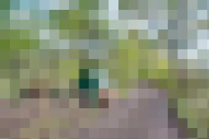 Nijkampsweg 4 Beltrum thumbnail 30