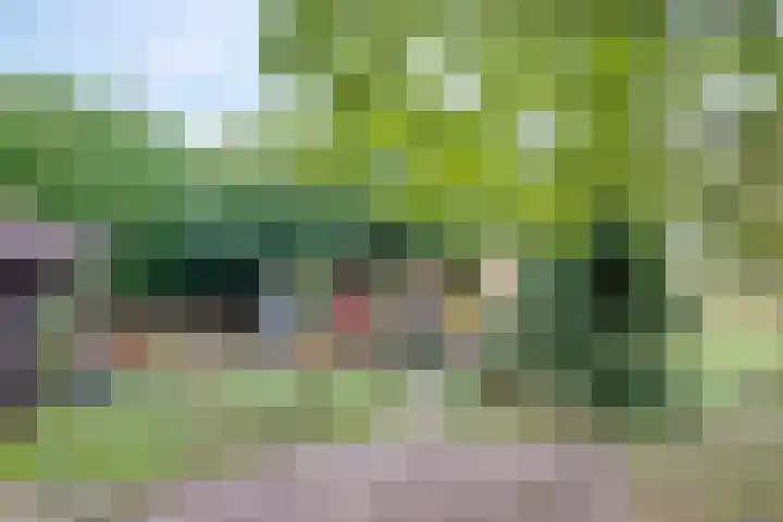 Nijkampsweg 4 Beltrum thumbnail 31