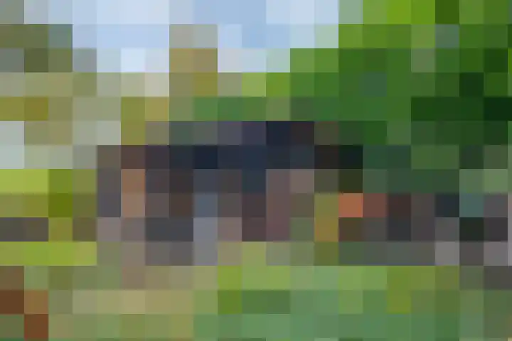 Nijkampsweg 4 Beltrum thumbnail 32