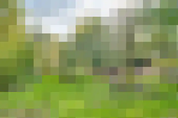 Nijkampsweg 4 Beltrum thumbnail 33